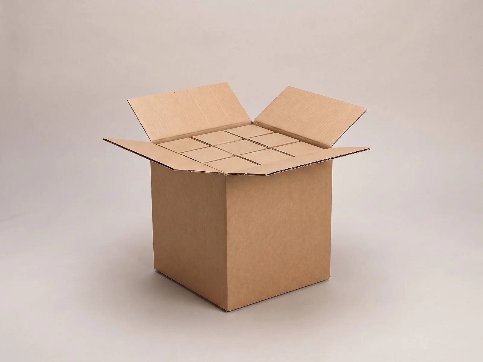 Caja máster de cartón con varias cajas chicas acomodadas por dentro