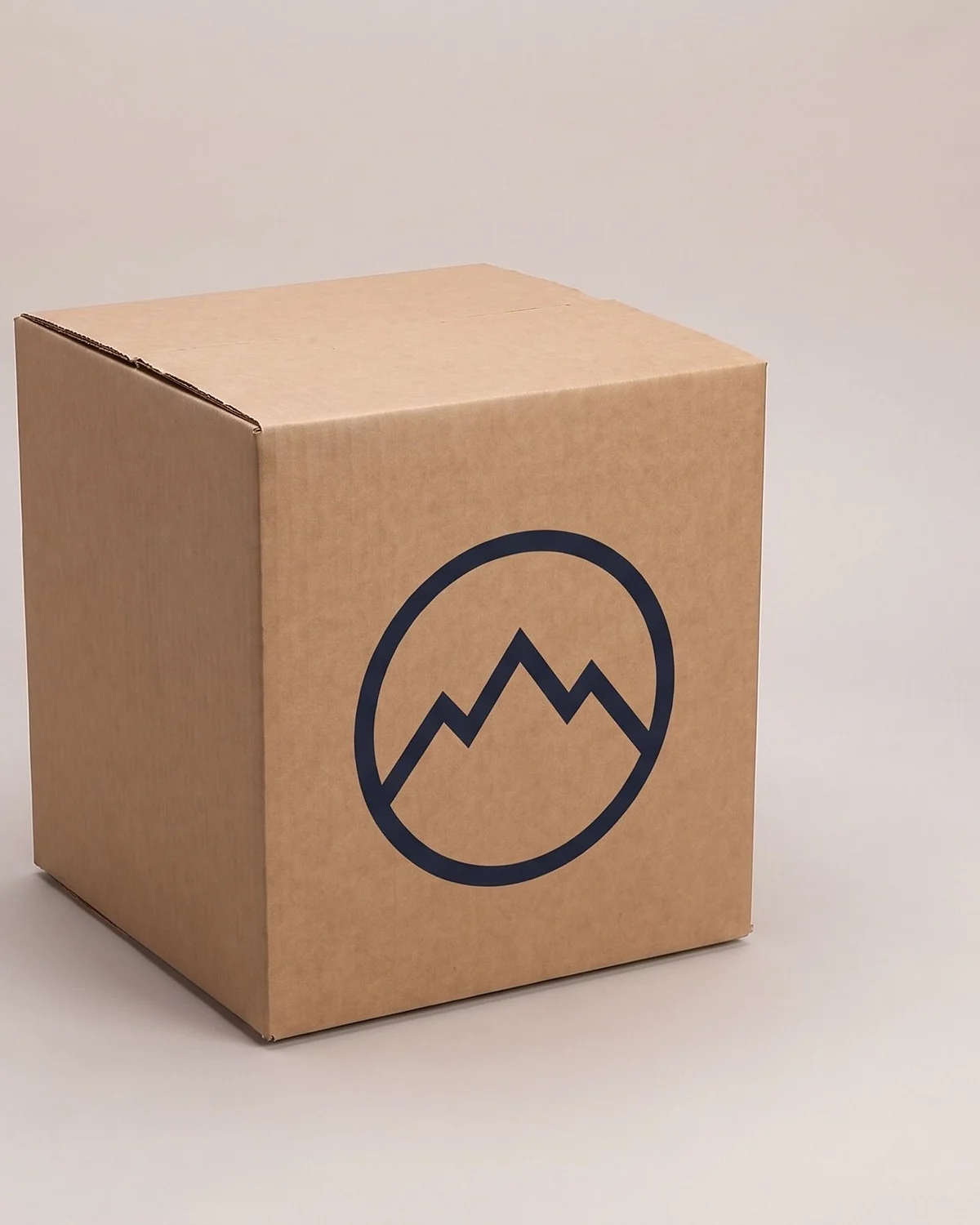 Caja de cartón corrugado kraft armada con un logotipo genérico impreso en una cara
